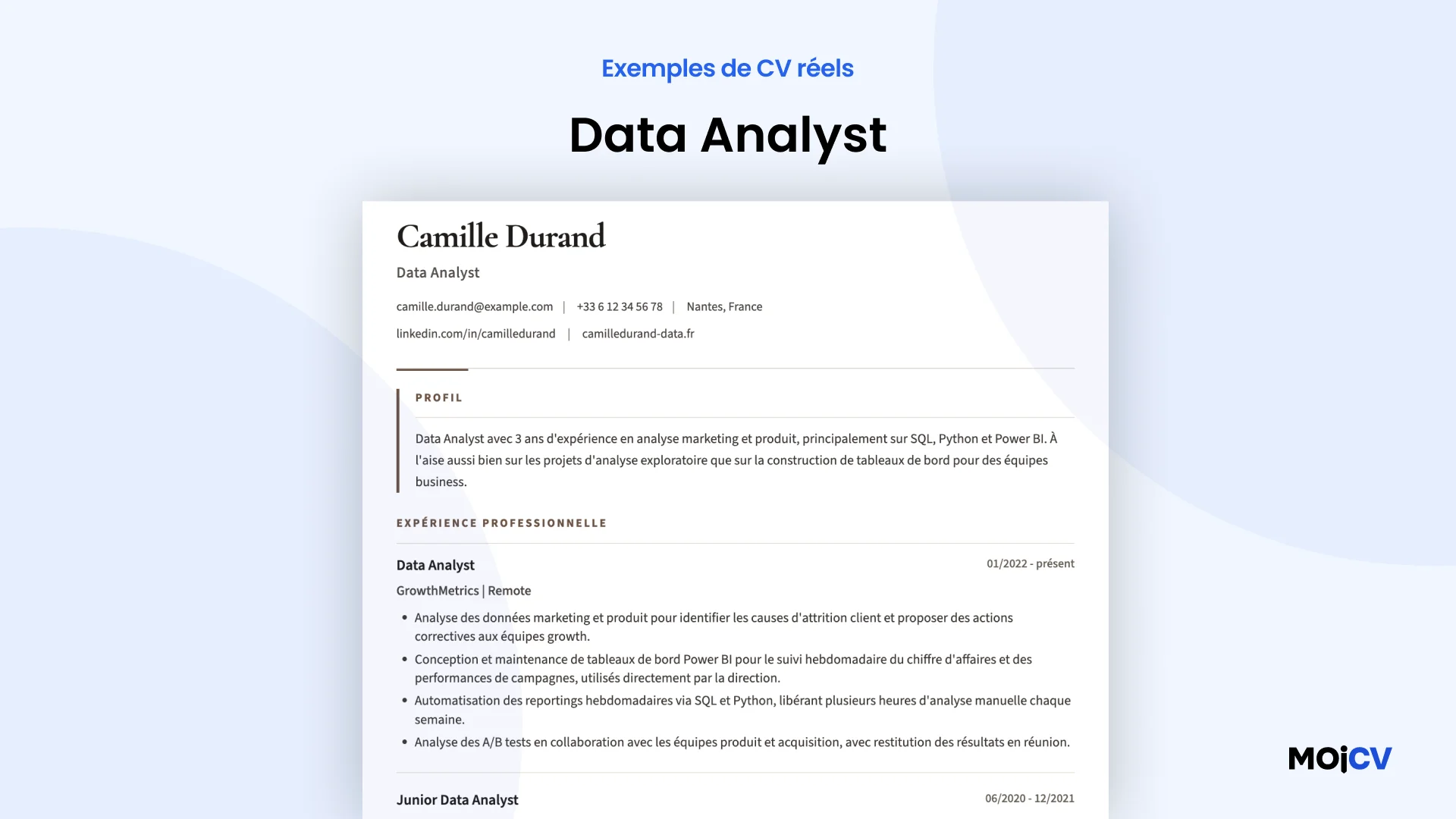 Data Analyst