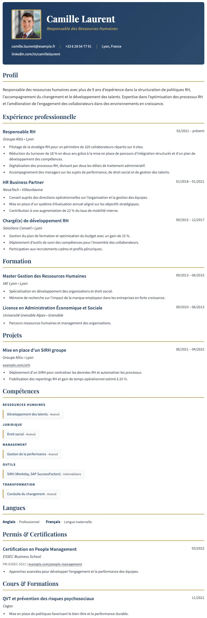 Professionnel CV template