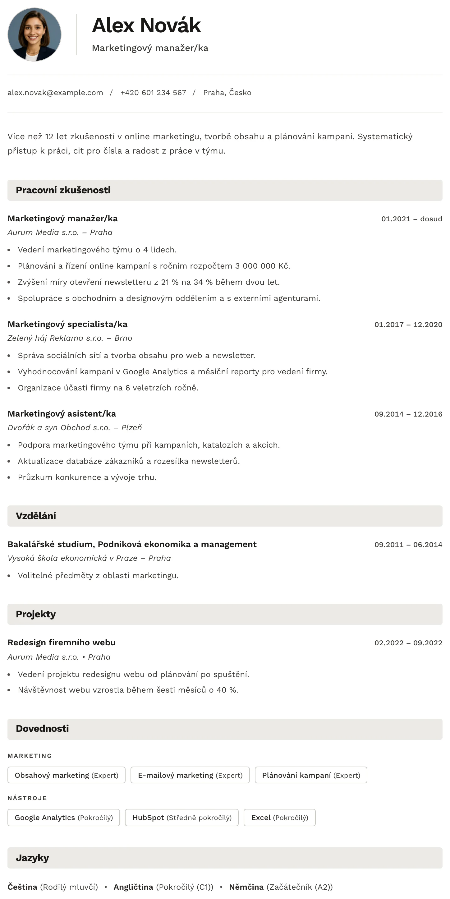 Bern CV template