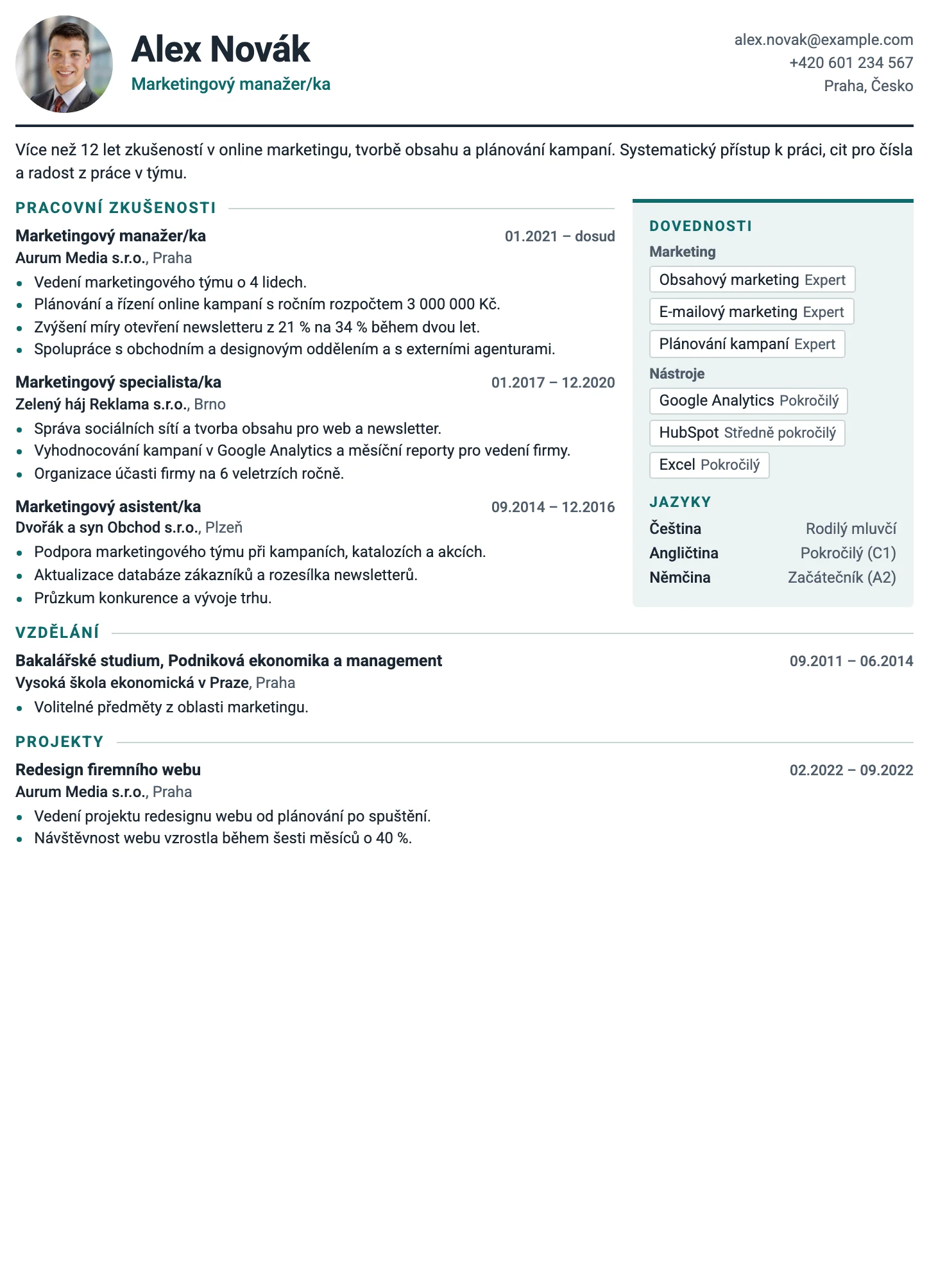 Curych CV template