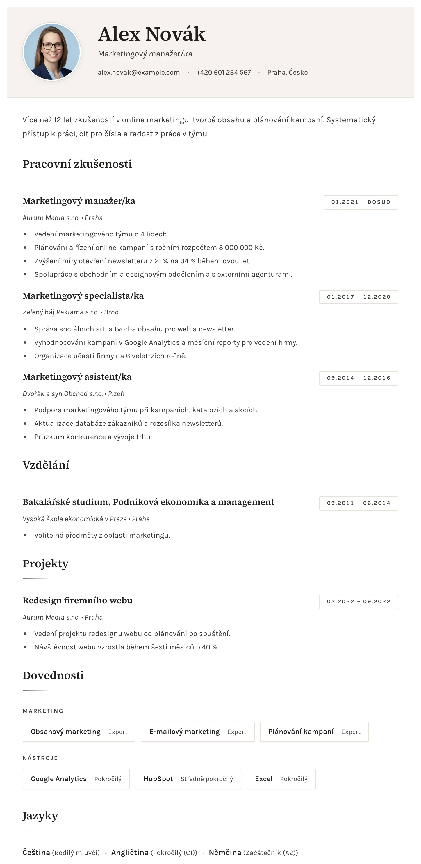 Sofie CV template