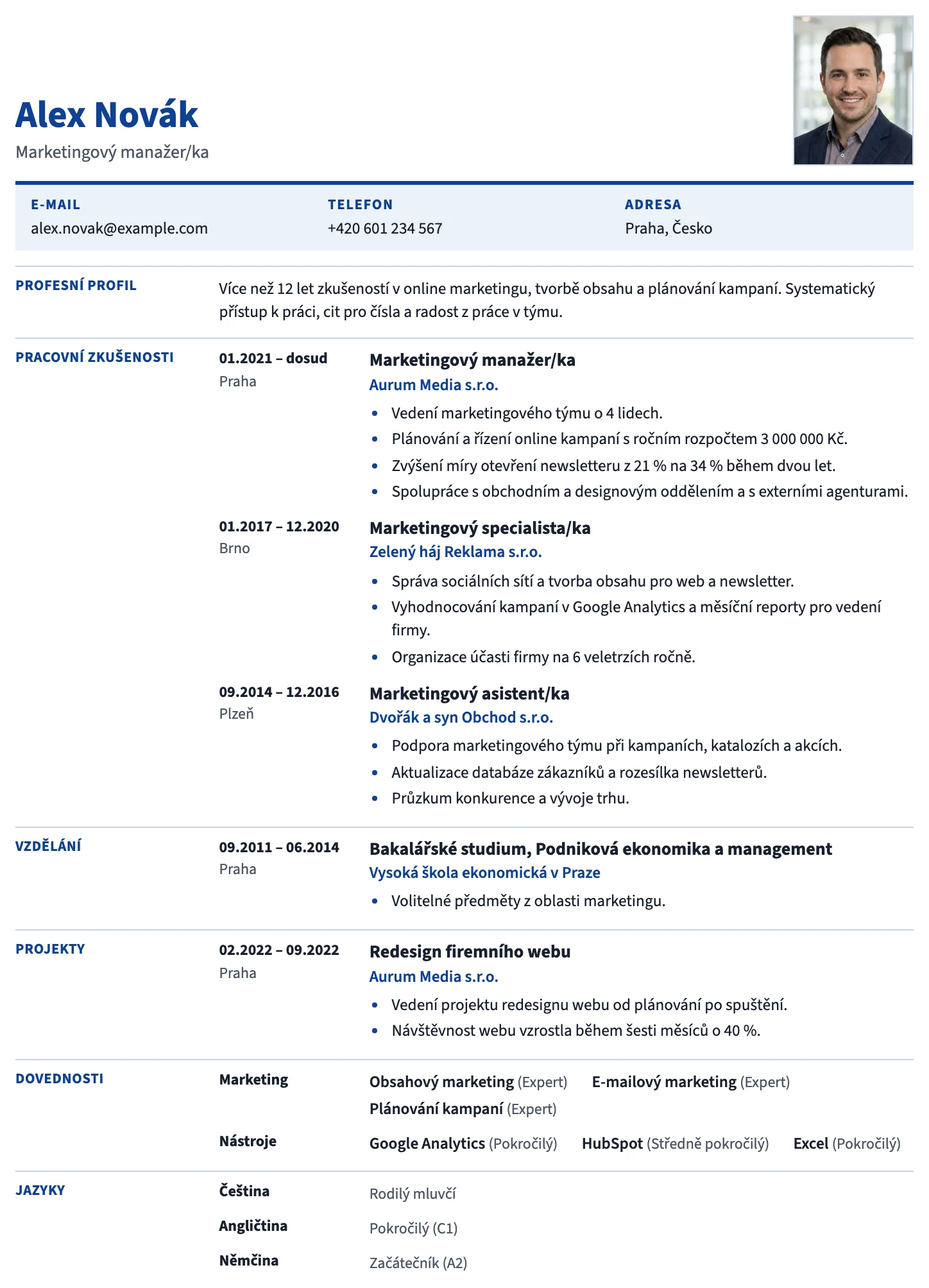 Brusel CV template