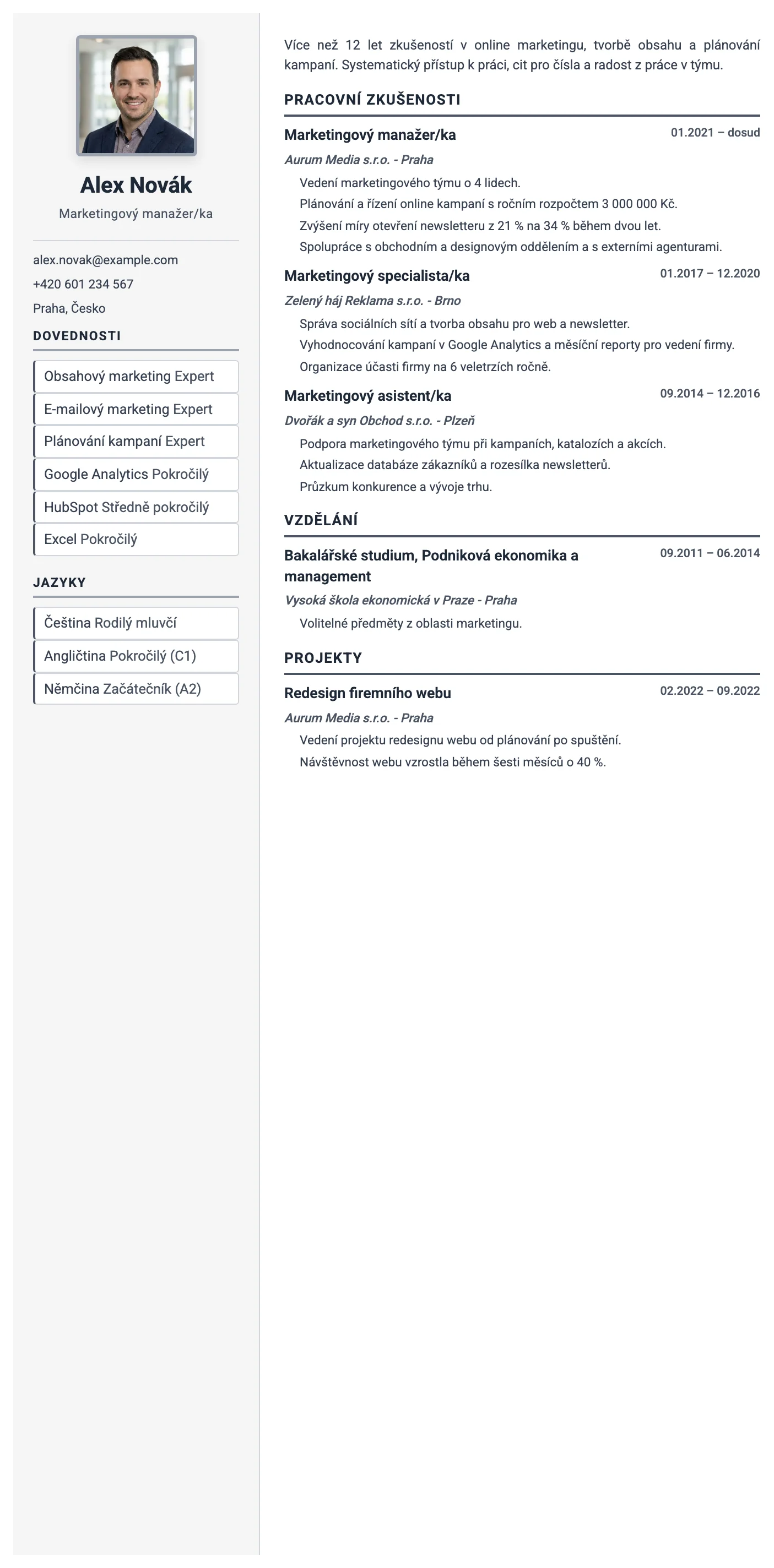 Monako CV template