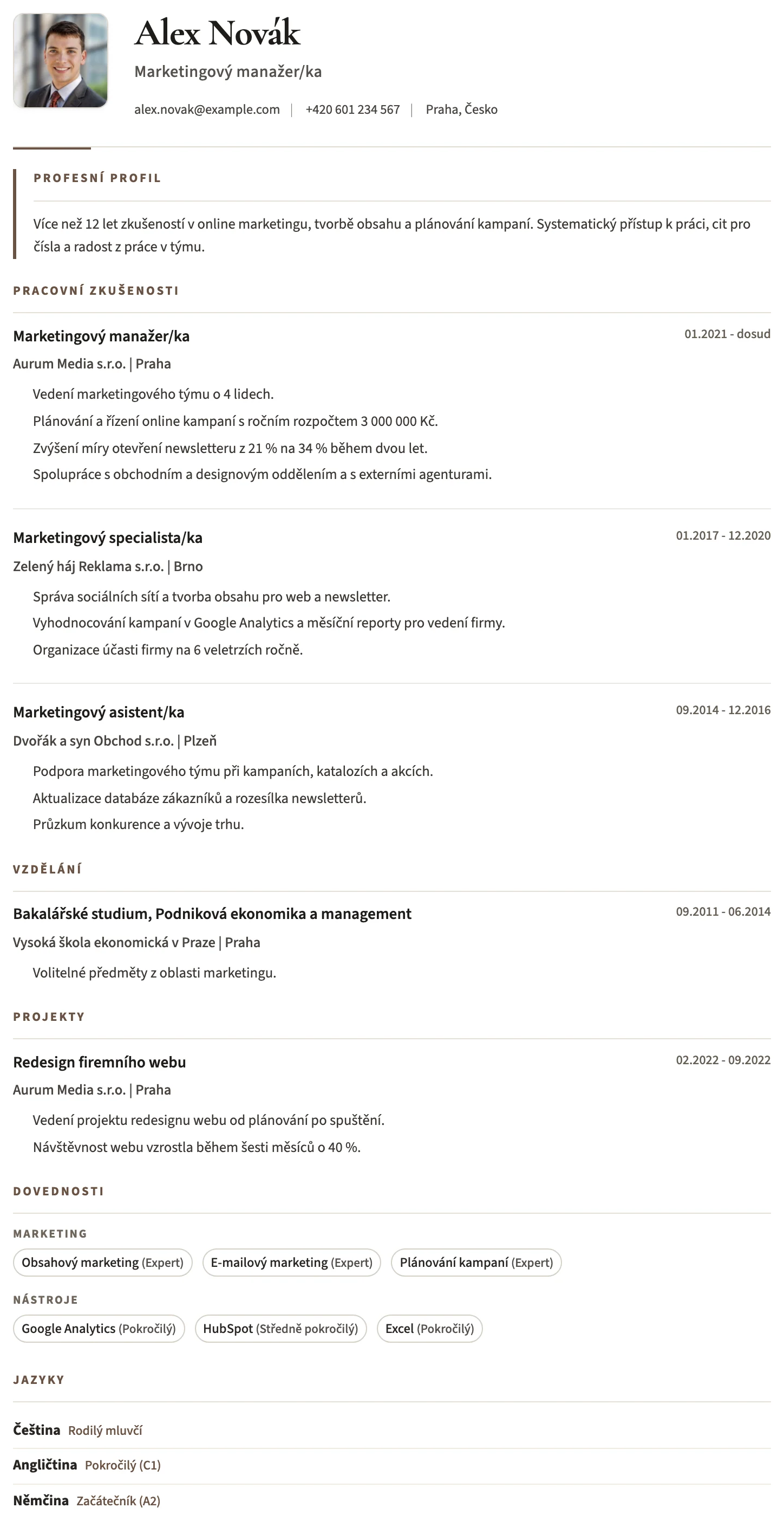 Bristol CV template