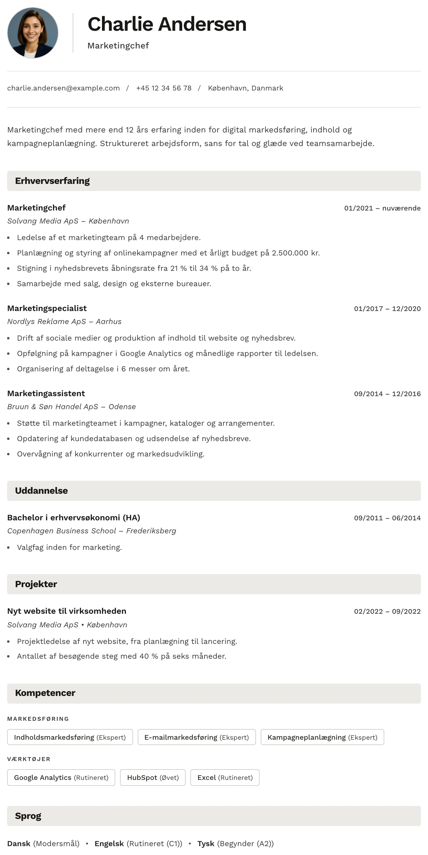 Bern CV template