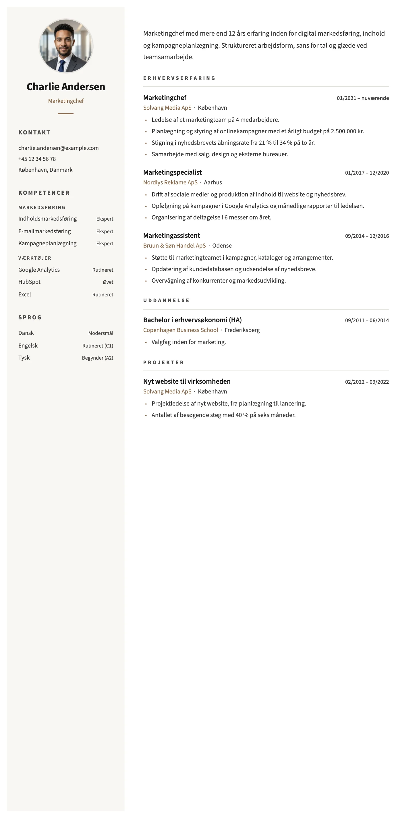 Siena CV template