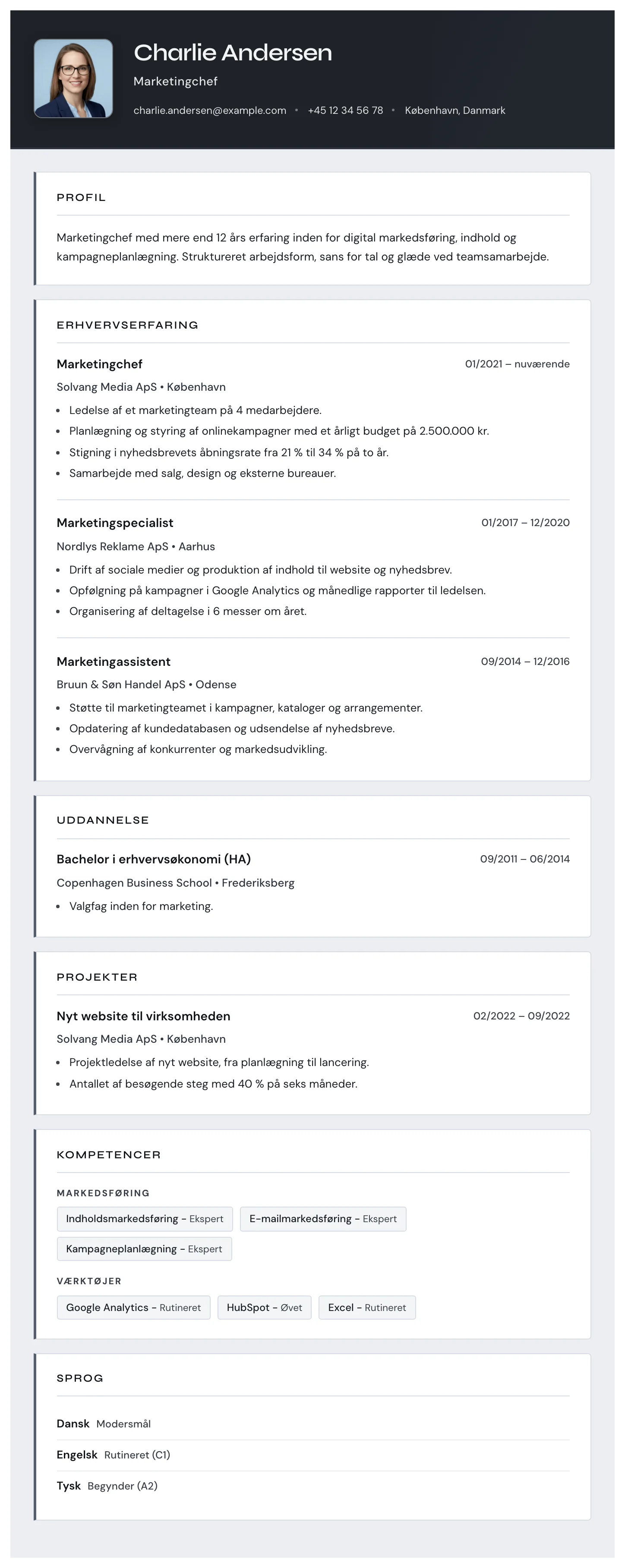 Torino CV template