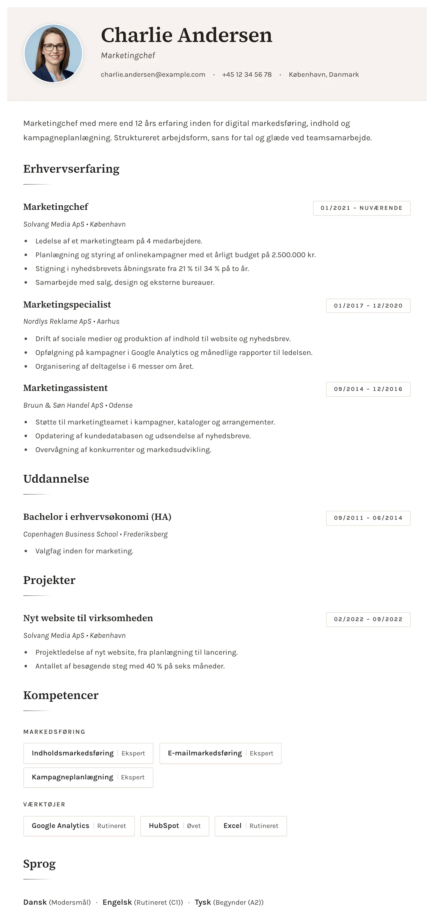 Sofia CV template