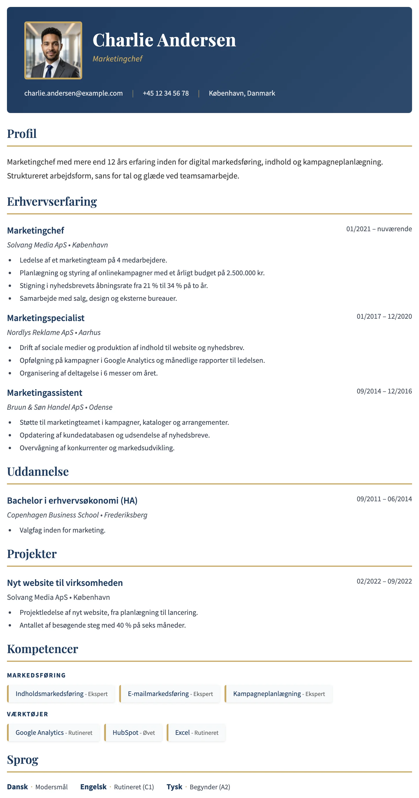 Dublin CV template