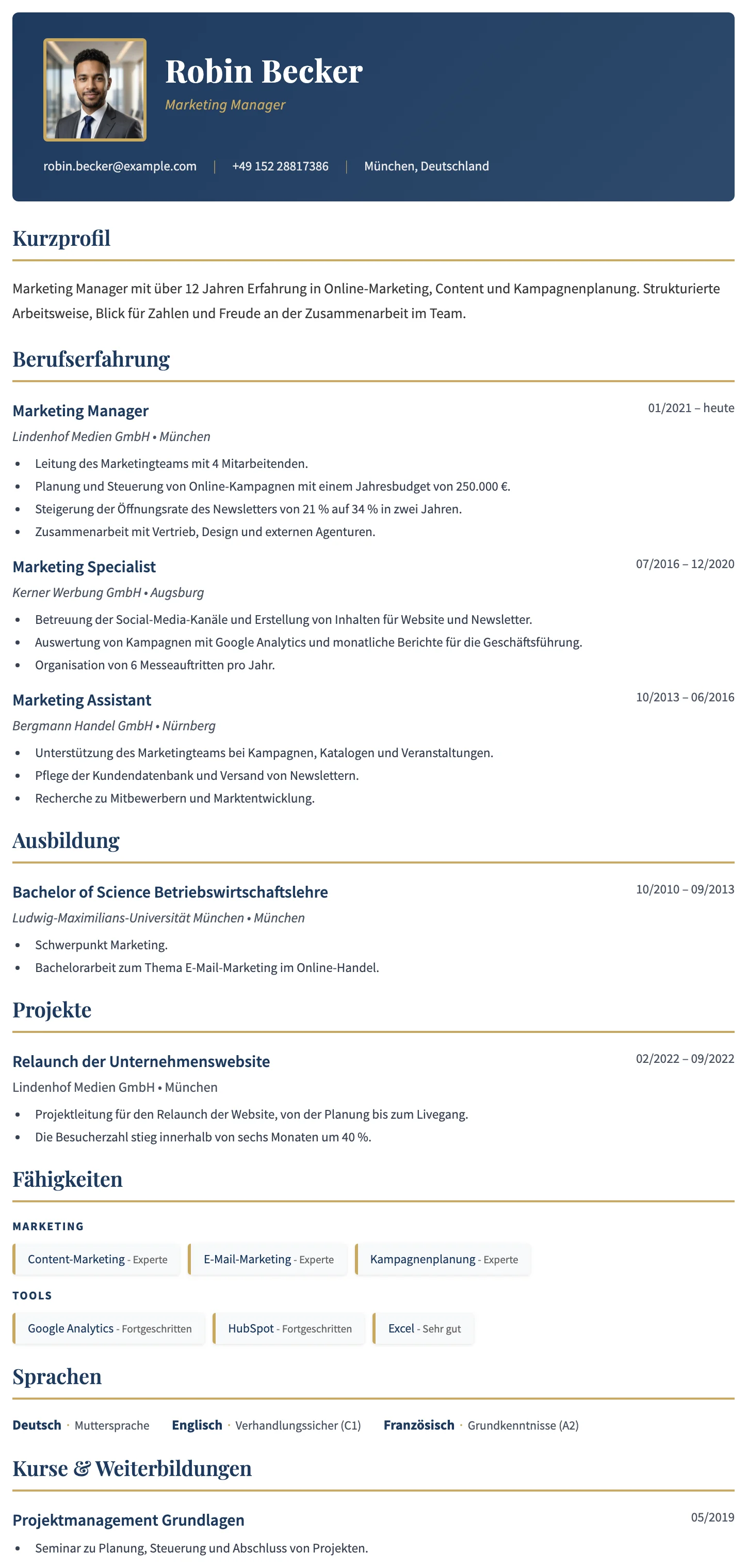 Dublin CV template