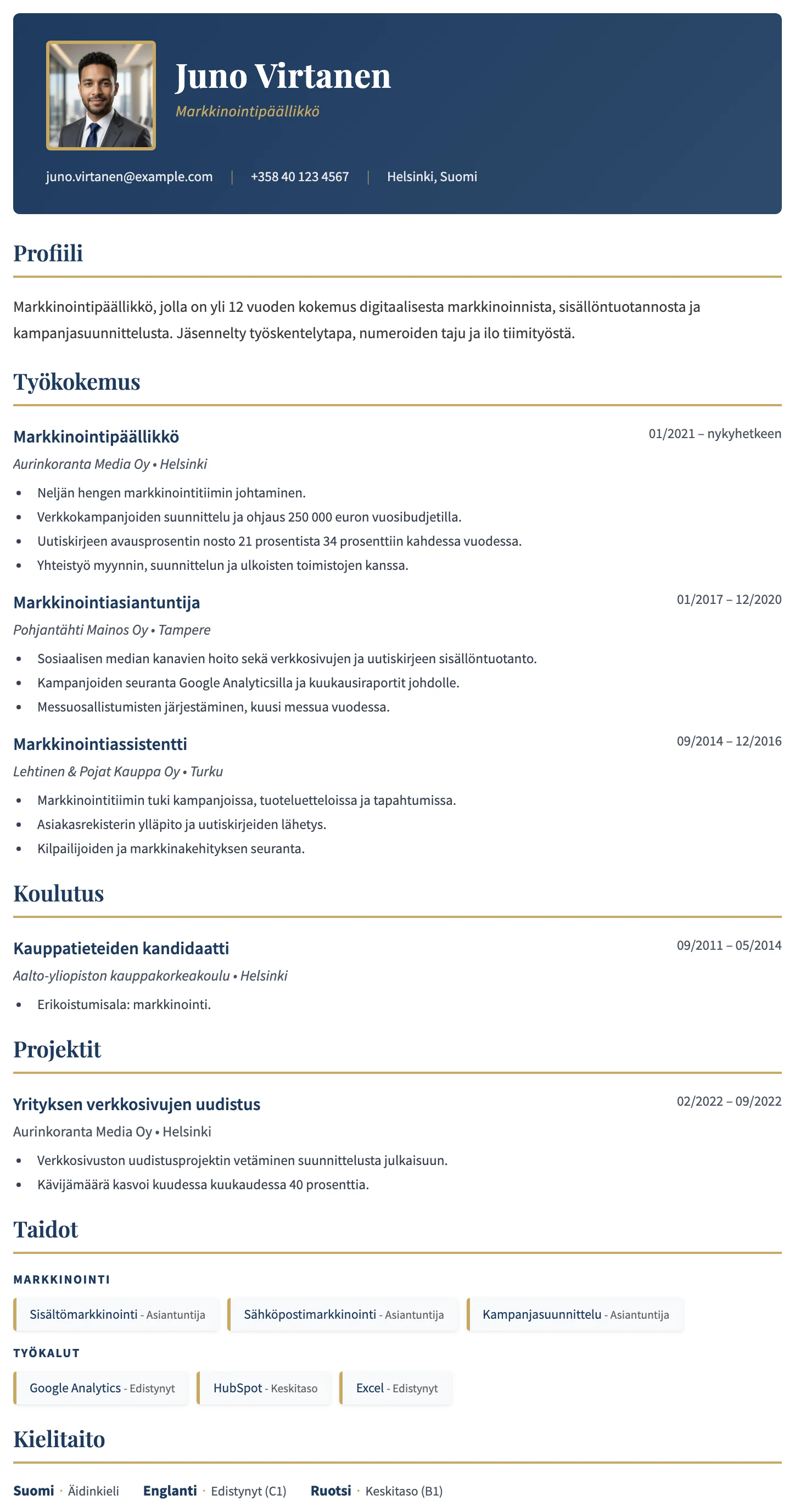 Dublin CV template