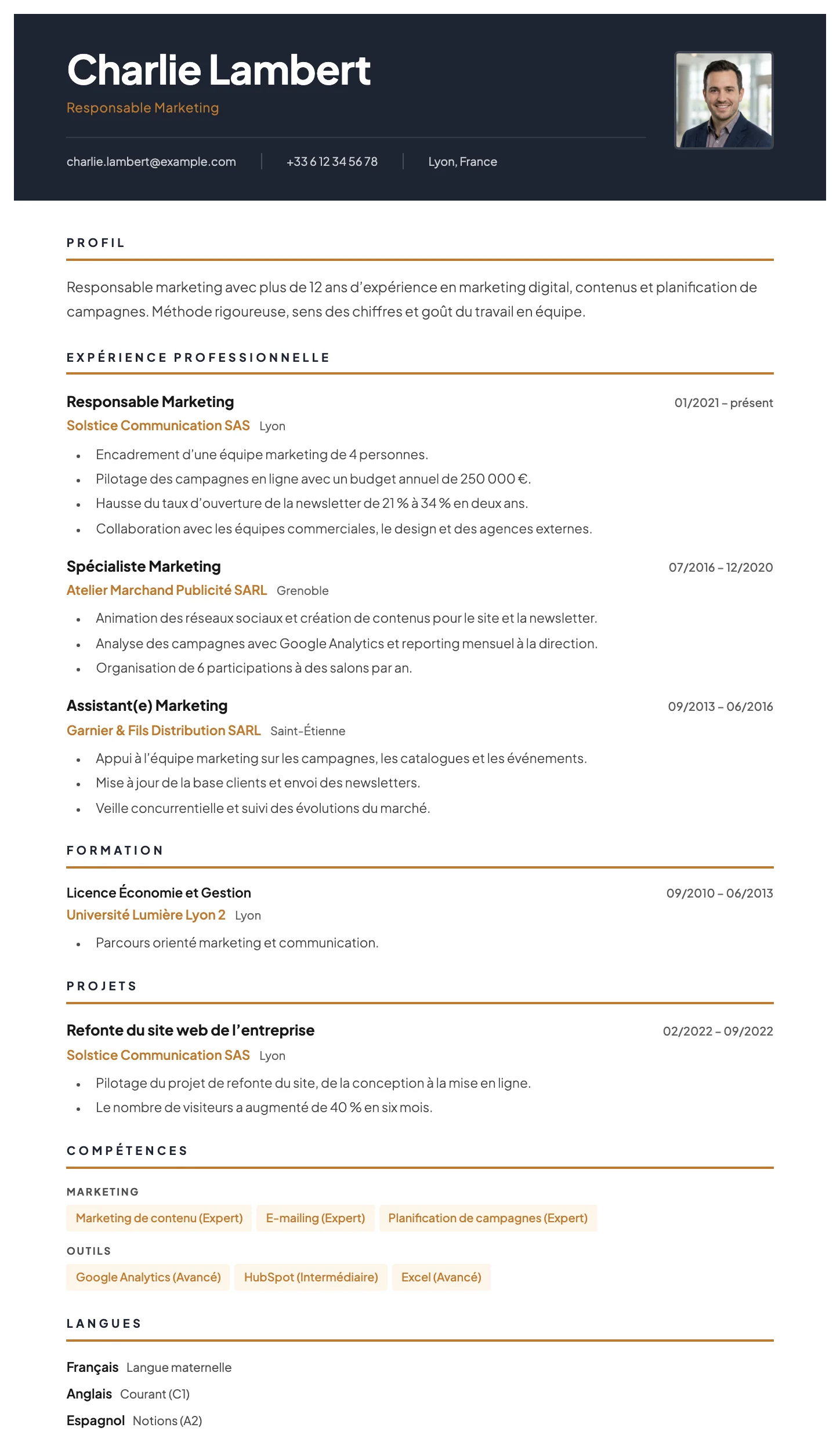 Vienne CV template