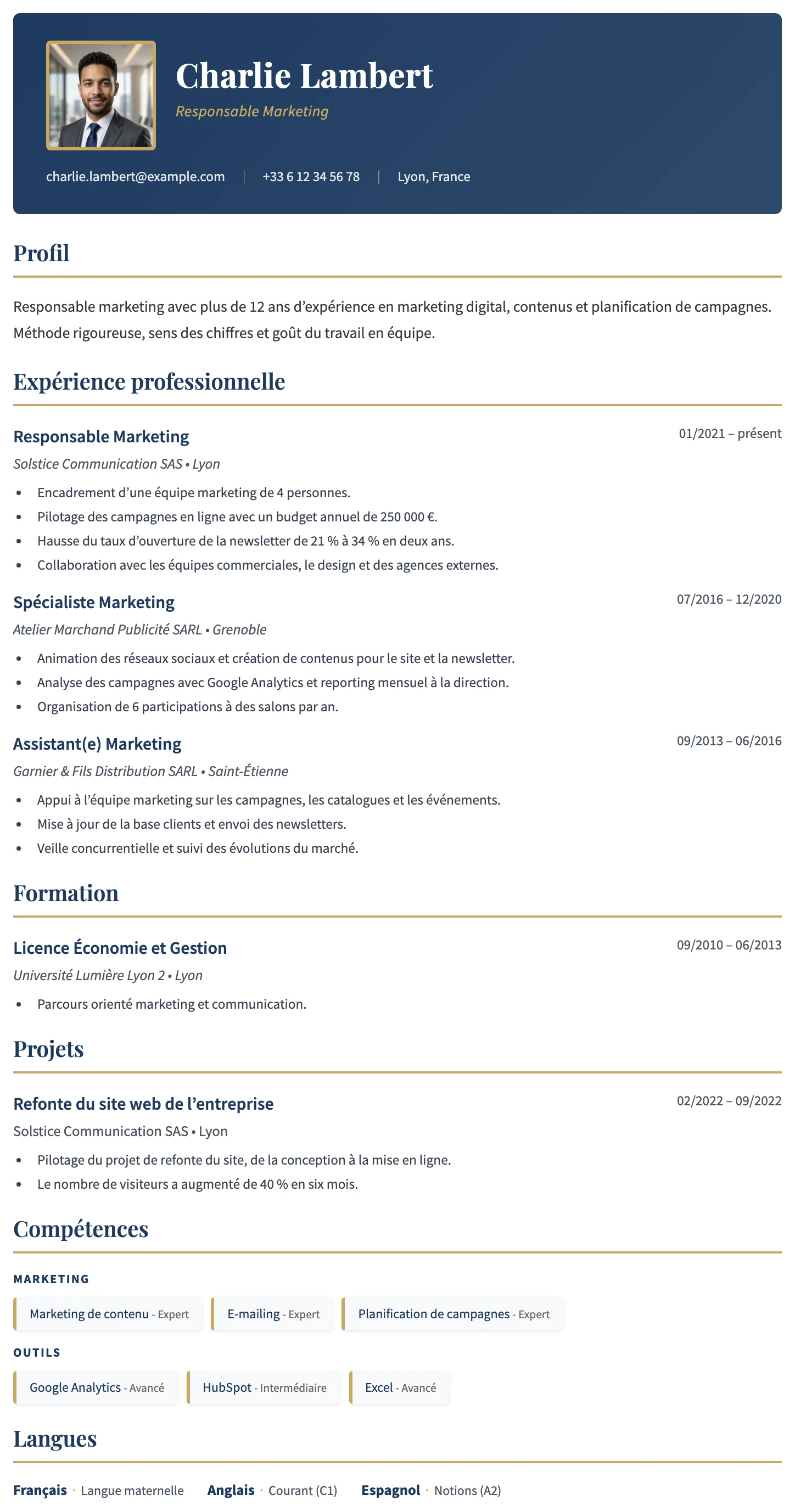 Dublin CV template