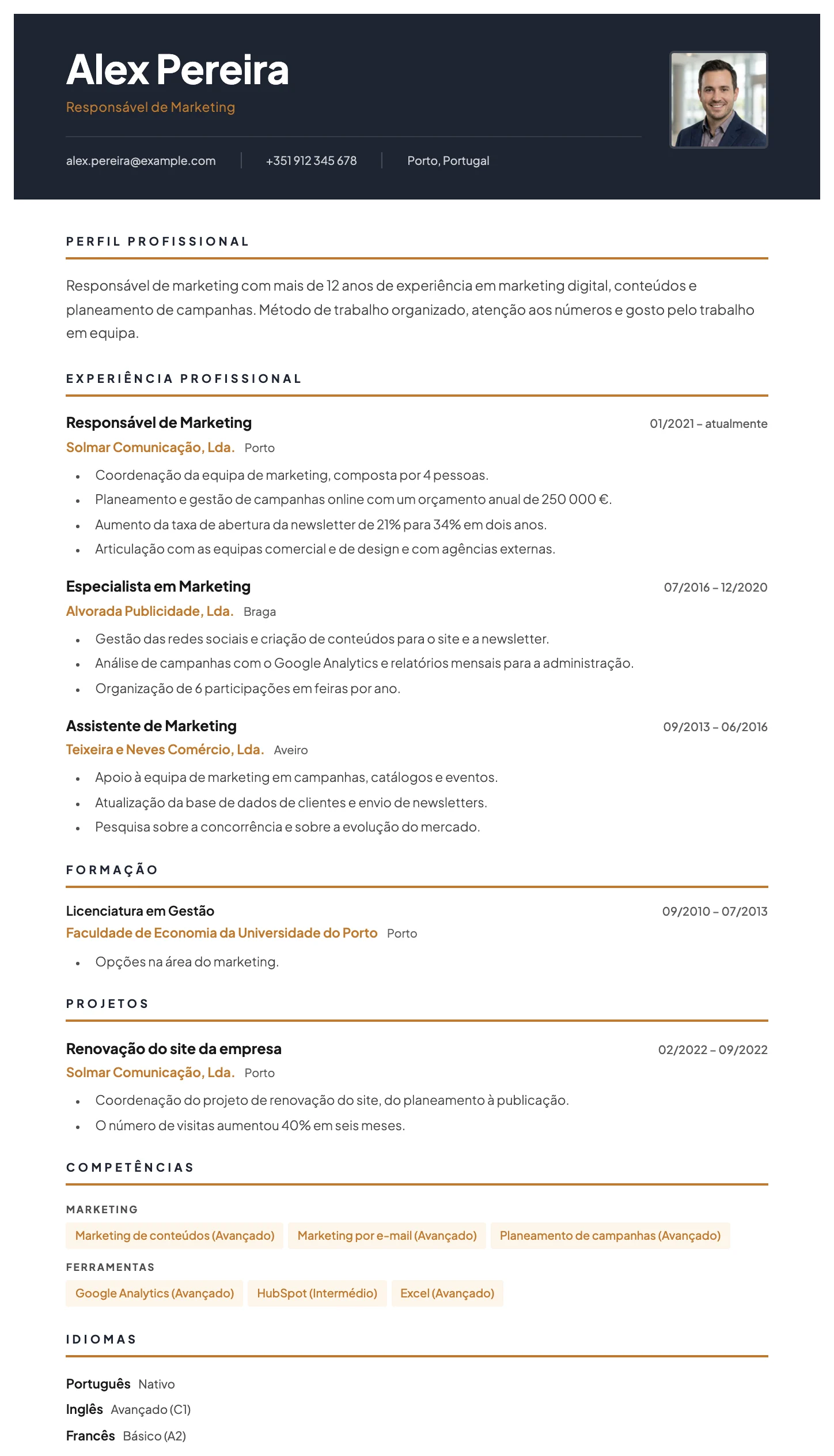 Viena CV template