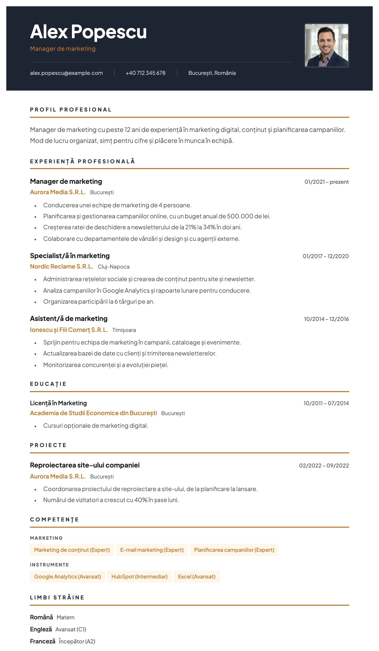 Viena CV template