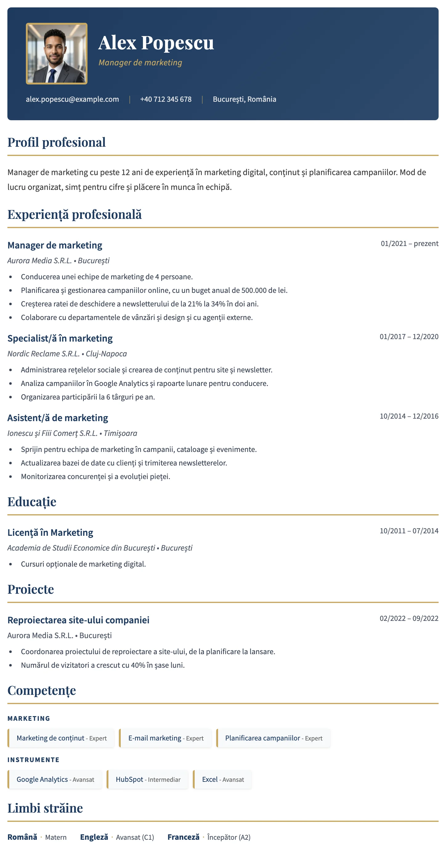 Dublin CV template