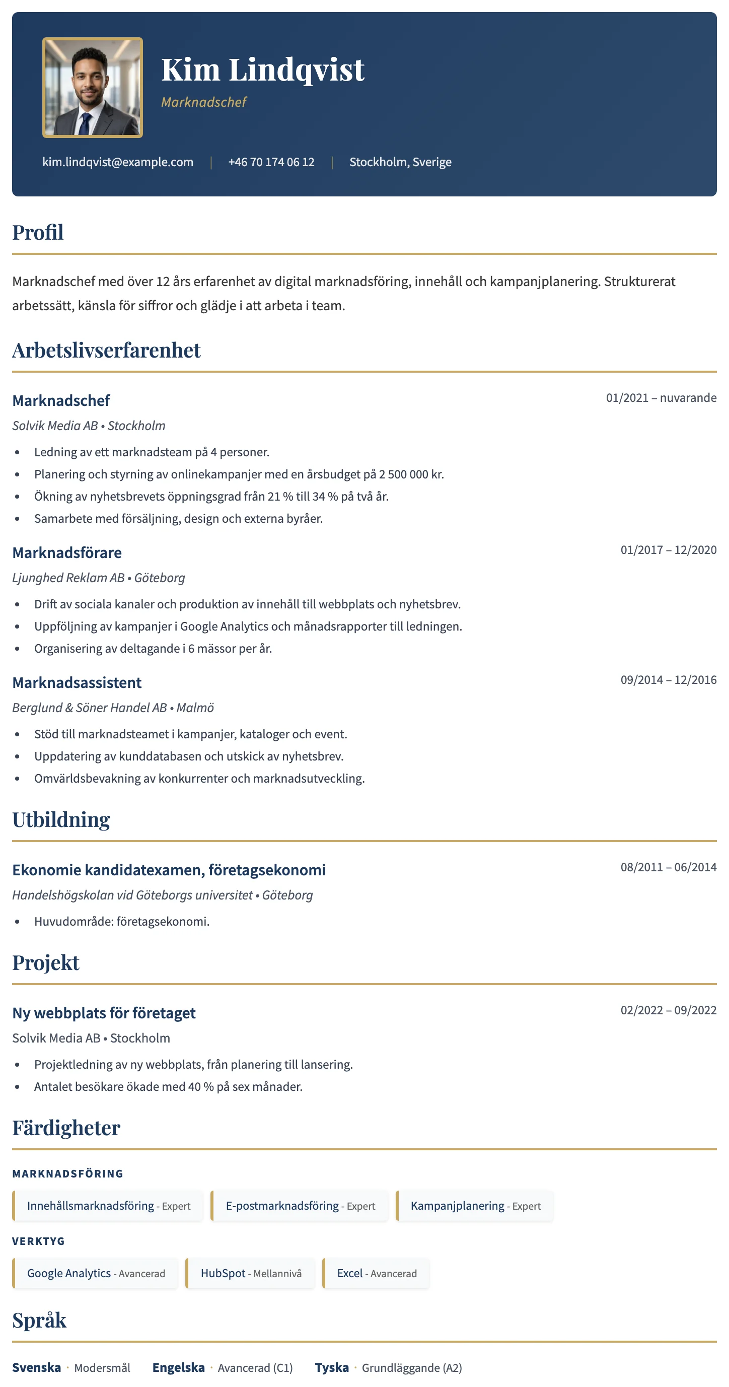 Dublin CV template