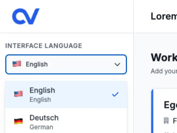 Changing website interface language